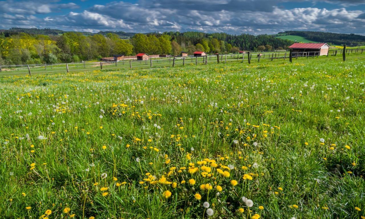 Отель Ranch Jestrebice Hermanicky Экстерьер фото