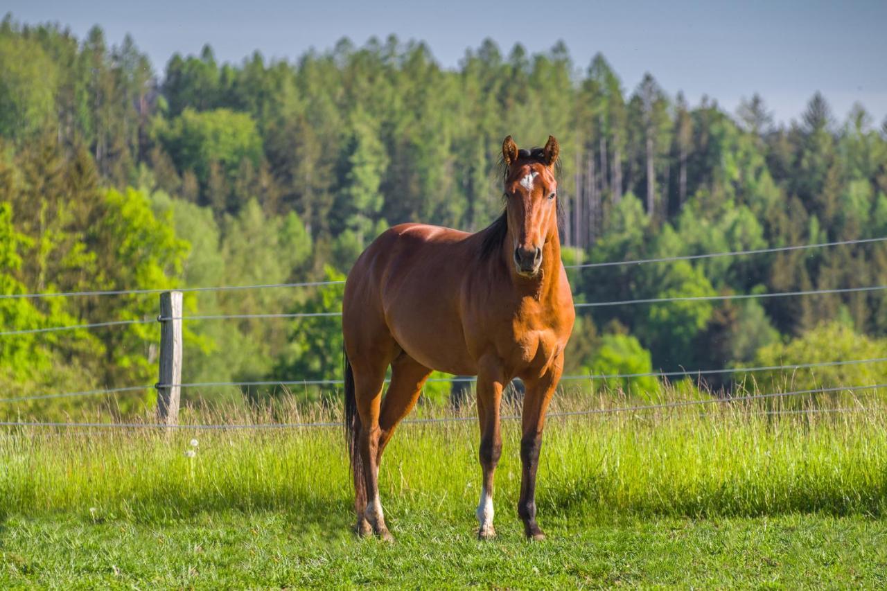 Отель Ranch Jestrebice Hermanicky Экстерьер фото